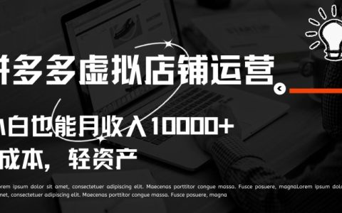 拼多多虛擬店鋪運營攻略：無經驗小白輕松實現月入過萬【獨家揭秘】