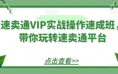 速賣通VIP深度實(shí)操課程：掌握速賣通平臺運(yùn)營技巧，快速上手