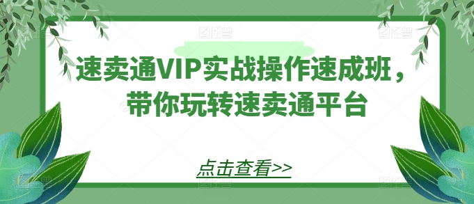 速賣通VIP實戰(zhàn)操作速成班,帶你玩轉(zhuǎn)速賣通平臺