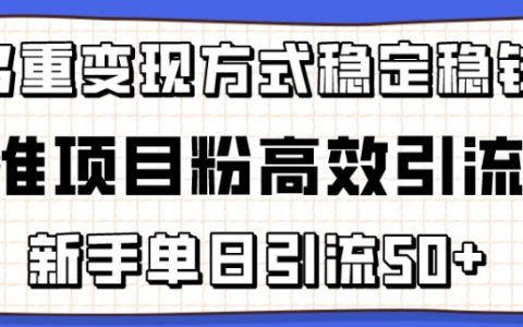 精準項目粉絲引流技巧：新手輕松日引50+，多重變現策略穩定獲利【揭秘】