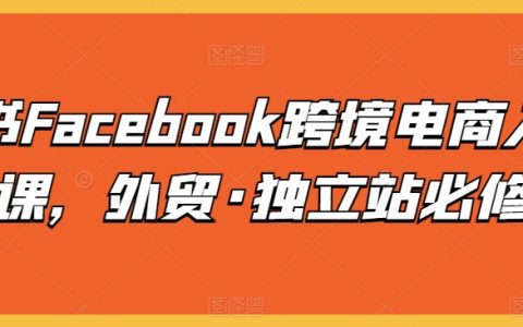Facebook跨境電商入門必學(xué)課：外貿(mào)獨(dú)立站必修，輕松掌握跨境電商運(yùn)營秘籍