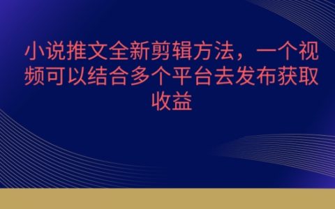 小說推文剪輯新技巧，多平臺發(fā)布，流量爆棚的秘密【獨家揭秘】