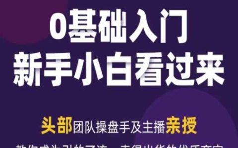 2024新媒體流量變現實操手冊：掌握引流賣貨技巧，成為卓越商家的指南