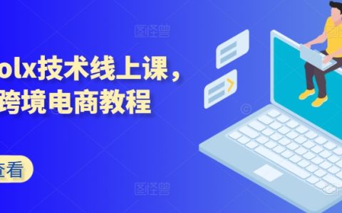 波蘭OLX平臺在線培訓課程，Kim老師教你跨境電商實用技巧