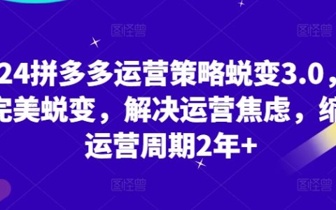 2024拼多多運(yùn)營(yíng)策略升級(jí)3.0：從新手到專家，解決運(yùn)營(yíng)焦慮，縮短運(yùn)營(yíng)周期，實(shí)現(xiàn)完美蛻變
