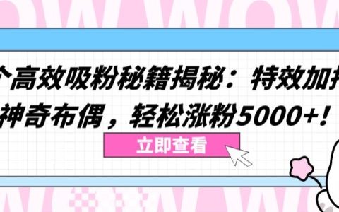 雙效吸粉絕招大公開：特效助力與神秘布偶策略，快速增粉5000+【獨家曝光】