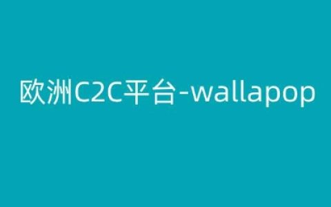 歐洲C2C平臺Wallapop跨境電商教程：跟隨Kim深度解析市場策略和運營技巧