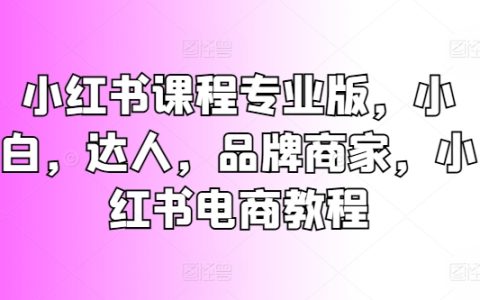 小紅書電商運(yùn)營全攻略：適用于小白、達(dá)人和品牌商家的專業(yè)教程