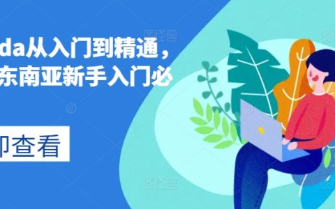Lazada跨境電商教程：從新手到專家，掌握東南亞市場(chǎng)的完整指導(dǎo)課程