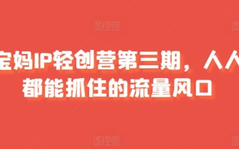 Shopify 獨立站進階課：Facebook 營銷，跨境電商秘籍！