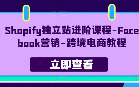 Shopify獨立站進階課：Facebook 營銷，跨境電商秘籍！