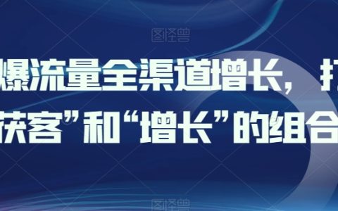 全渠道流量增長策略：有效結合獲客與增長，實現流量激增