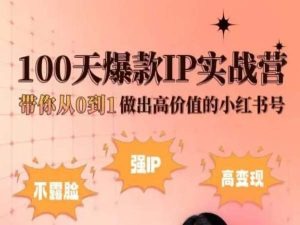 小紅書100天爆款IP實戰營,帶你從0到1做出高價值的小紅書號