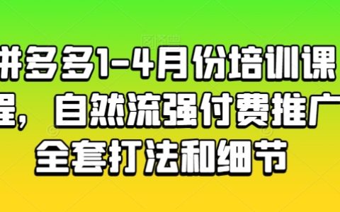 拼多多電商運(yùn)營培訓(xùn)：1-4月份課程，自然流量與付費(fèi)推廣全策略深度解析