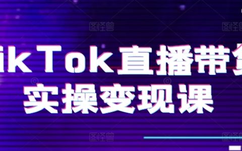 TikTok直播電商實戰解析：從零開始打造賬號、精準復盤、完整變現路徑、直播設備配置、小店運營流程、團隊建設全指南