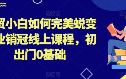 外貿新手到行業銷售冠軍：0基礎線上轉型課程，實現完美蛻變【詳解成功之路】