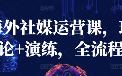 海外社媒運營全流程實戰(zhàn)課：理論+演練，輕松掌握運營秘籍