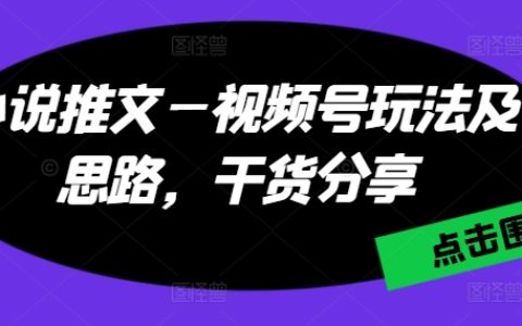 小說推廣短視頻：視頻號營銷策略與創新思路，實用技巧大公開【解析成功案例】