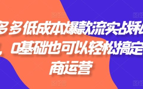 拼多多低成本爆款實戰(zhàn)私教課：0基礎也能輕松玩轉電商運營，獨家秘籍等你來學！
