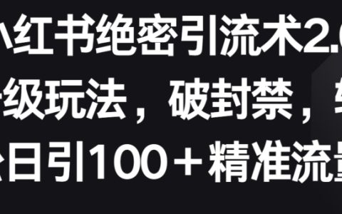 小紅書獨家引流技巧2.0升級策略，突破限制，每日輕松吸引100+精準流量【深度解析】