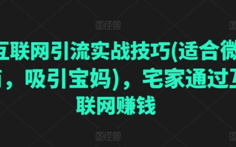 微商互聯(lián)網引流實操攻略：專為寶媽打造的在家賺錢技巧