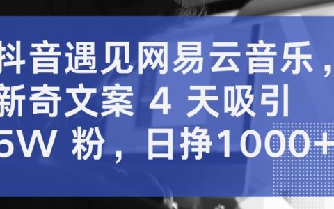 抖音與網(wǎng)易云音樂的新奇合作：4天吸引5萬粉絲，日賺1000+揭秘