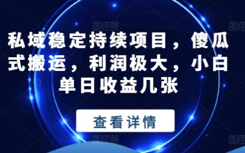 私域穩定持續項目揭秘：傻瓜式搬運賺錢，小白單日收益爆棚【秘籍解析】