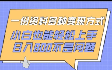 多種變現(xiàn)方式資料，小白也能輕松上手，日入800+，揭秘賺錢秘密通道