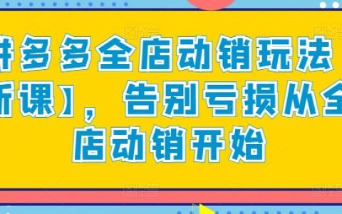拼多多全店動銷策略【最新課程】，實現盈利：從全店動銷入手告別虧損