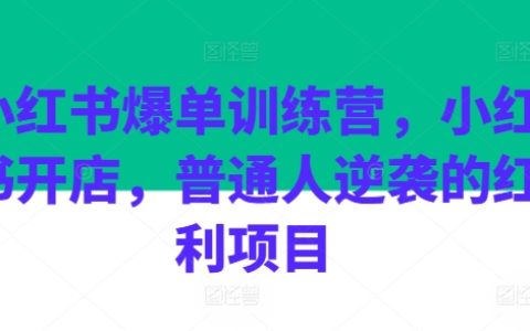 小紅書爆款店鋪培訓：普通人翻盤的紅利機會，開店成功秘訣大公開