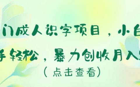 揭秘冷門市場：成人識(shí)字教學(xué)項(xiàng)目，小白也可輕松上手，實(shí)現(xiàn)月入5萬+的暴力收入