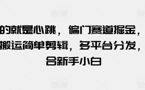 探索心跳體驗(yàn)：偏門掘金賽道，視頻搬運(yùn)與剪輯技巧，多平臺(tái)內(nèi)容分發(fā)，適合初學(xué)者小白【揭秘】