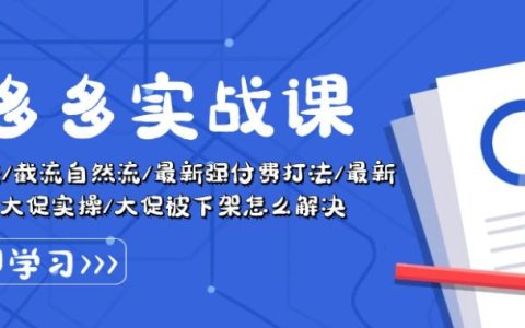 拼多多實戰技巧：萬人團購策略、攔截自然流量、最新付費推廣方法、大促活動原價卡技巧全解析！