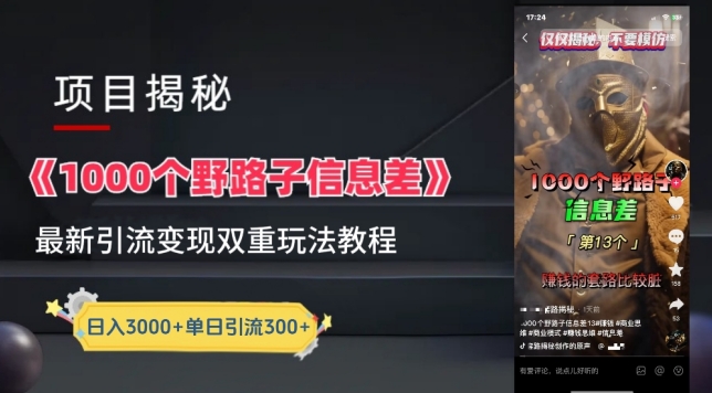 一千個(gè)野路子信息差最新玩法教程-變現(xiàn)+引流的玩法具體拆解【揭秘】