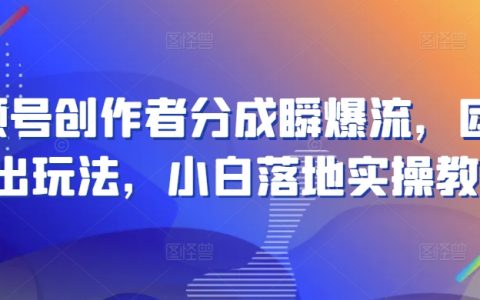 視頻號盈利新模式：團隊新玩法揭秘，小白創作者實操攻略，快速實現流量變現