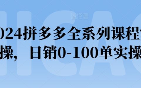 2024拼多多全系列課程實操：從零到一，日銷百單的實戰(zhàn)攻略，必看！