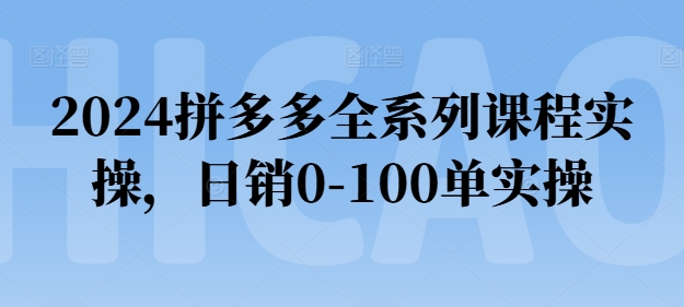2024拼多多全系列課程實操,日銷0-100單實操【必看】