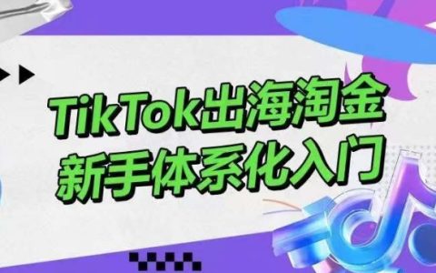 TikTok出海淘金，新手體系化入門，零基礎快速入門，掌握短視頻、直播帶貨等引流到變現的知識
