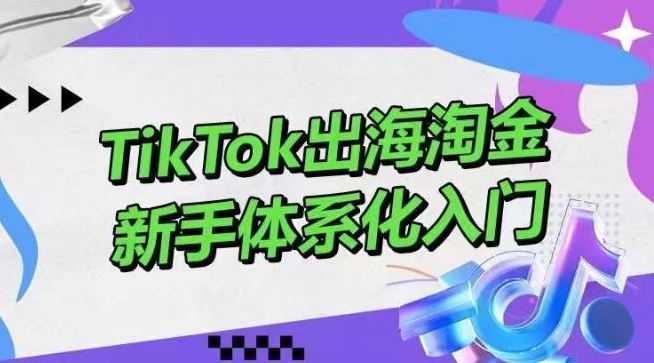 TikTok出海淘金,新手體系化入門,零基礎快速入門,掌握短視頻、直播帶貨等引流到變現的知識