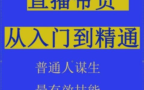 2024抖音直播帶貨實戰解析：直播間運營拆解，抖音運營技巧從新手到專家，助力普通人高效生財
