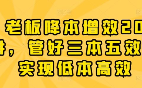 企業(yè)成本控制與效率提升20堂課，掌握三本五效管理法，實(shí)現(xiàn)低成本高效率