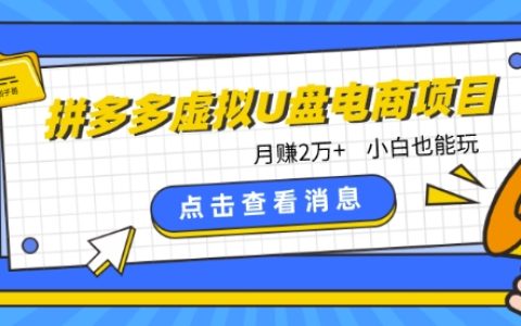 拼多多虛擬U盤電商新機遇：月收入2萬+，零基礎(chǔ)小白賺錢攻略