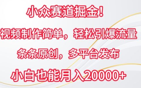 揭秘小眾賽道掘金新玩法：簡單視頻制作，輕松引爆流量，條條原創，多平臺發布！