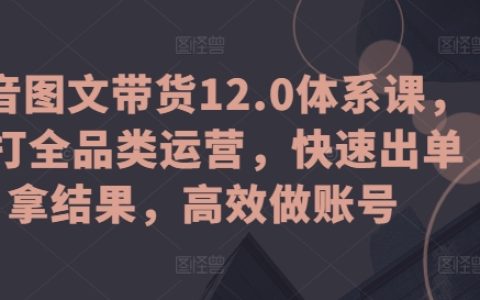 抖音圖文帶貨12.0課程：全面運(yùn)營(yíng)策略，快速成交，提升賬號(hào)效能