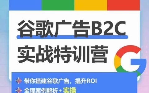 谷歌廣告B2C實戰(zhàn)特訓營：500+賬戶經(jīng)驗總結(jié)，手把手教你搭建谷歌廣告賬戶！