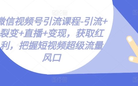 微信視頻號引流課程：直播變現+裂變推廣+獲取紅利，輕松把握短視頻超級流量風口！