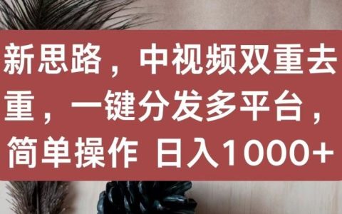 揭秘新中視頻策略：雙重去重技巧，一鍵多平臺分發(fā)，簡單操作實(shí)現(xiàn)日入1000+！