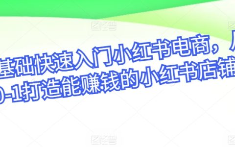小紅書(shū)電商入門教程，零基礎(chǔ)快速打造盈利店鋪，從新手到專家的躍遷之路