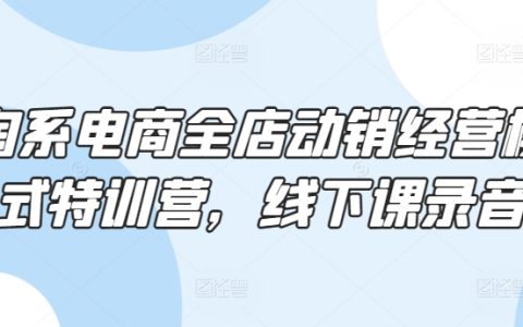 淘寶電商動銷突破全攻略：實戰型線下課程錄音分享