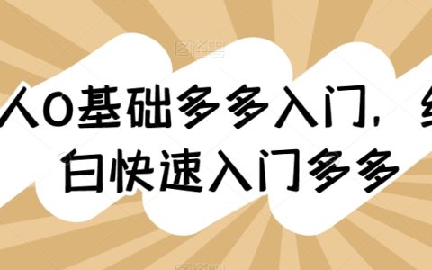 零基礎新手指南：全方位快速上手拼多多電商運營